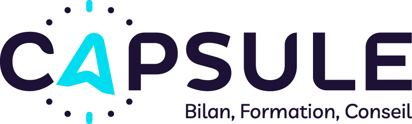 CAPSULE — Bilan, Formation, Conseil